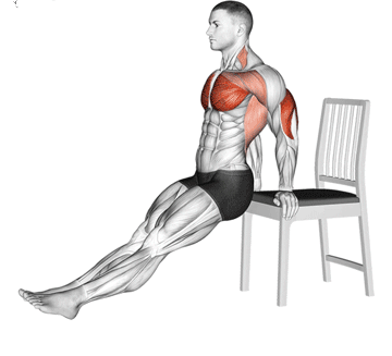 Chair Tricep Dips