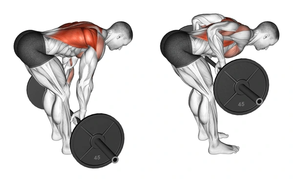 Barbell Bent-Over Rows