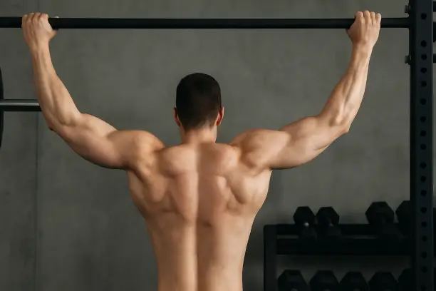 Build a Stronger Back: The Ultimate Back Workout Guide (Gym & Home Edition)
