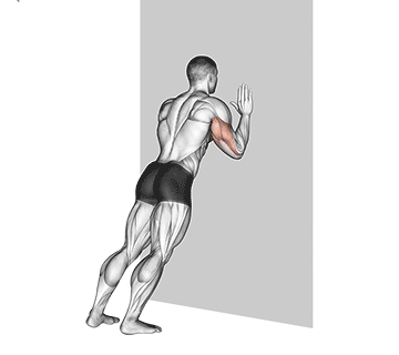 Bodyweight Tricep Extensions