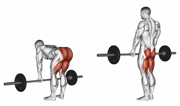 deadlifts